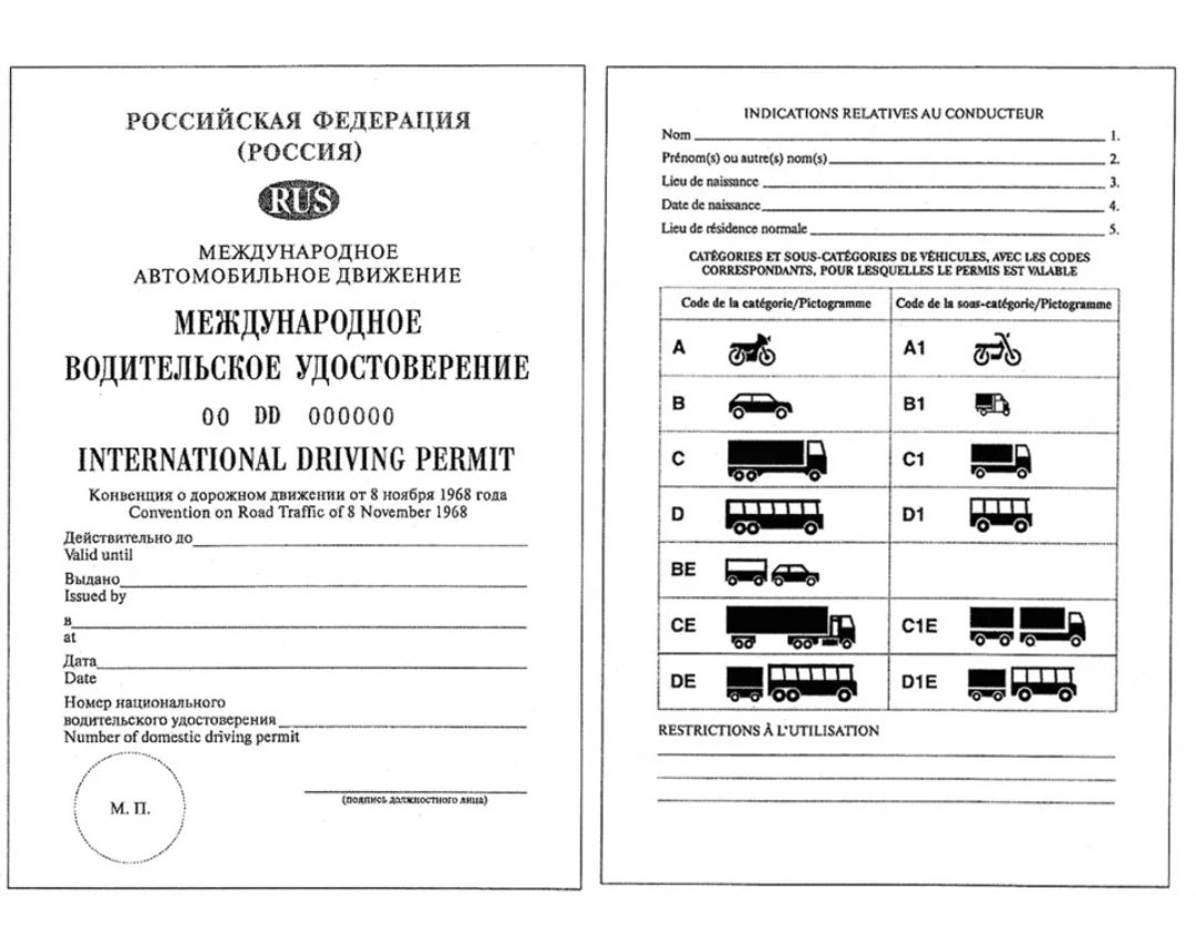 Водительское удостоверение венской конвенции образец