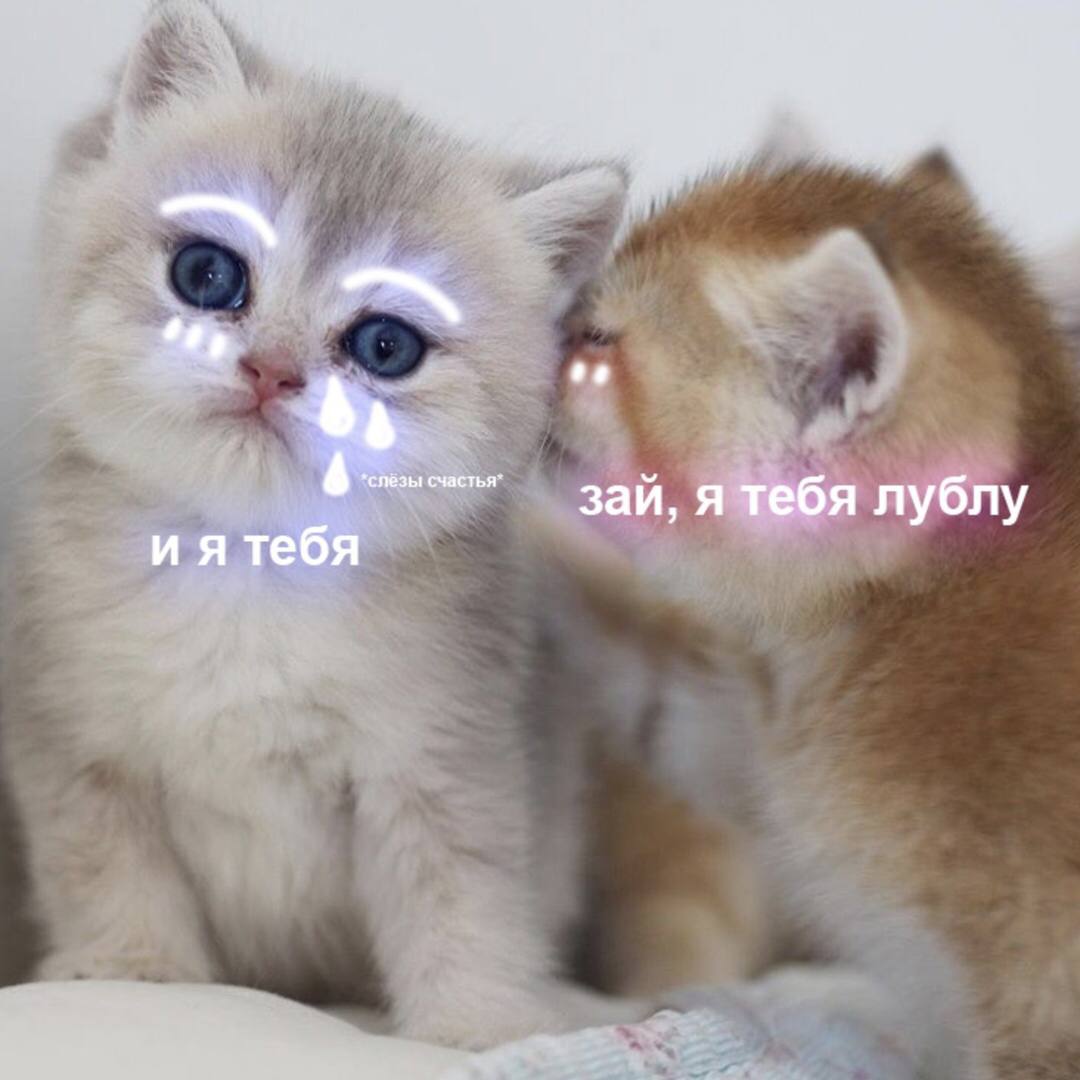 Ну я же тебя лублу мем