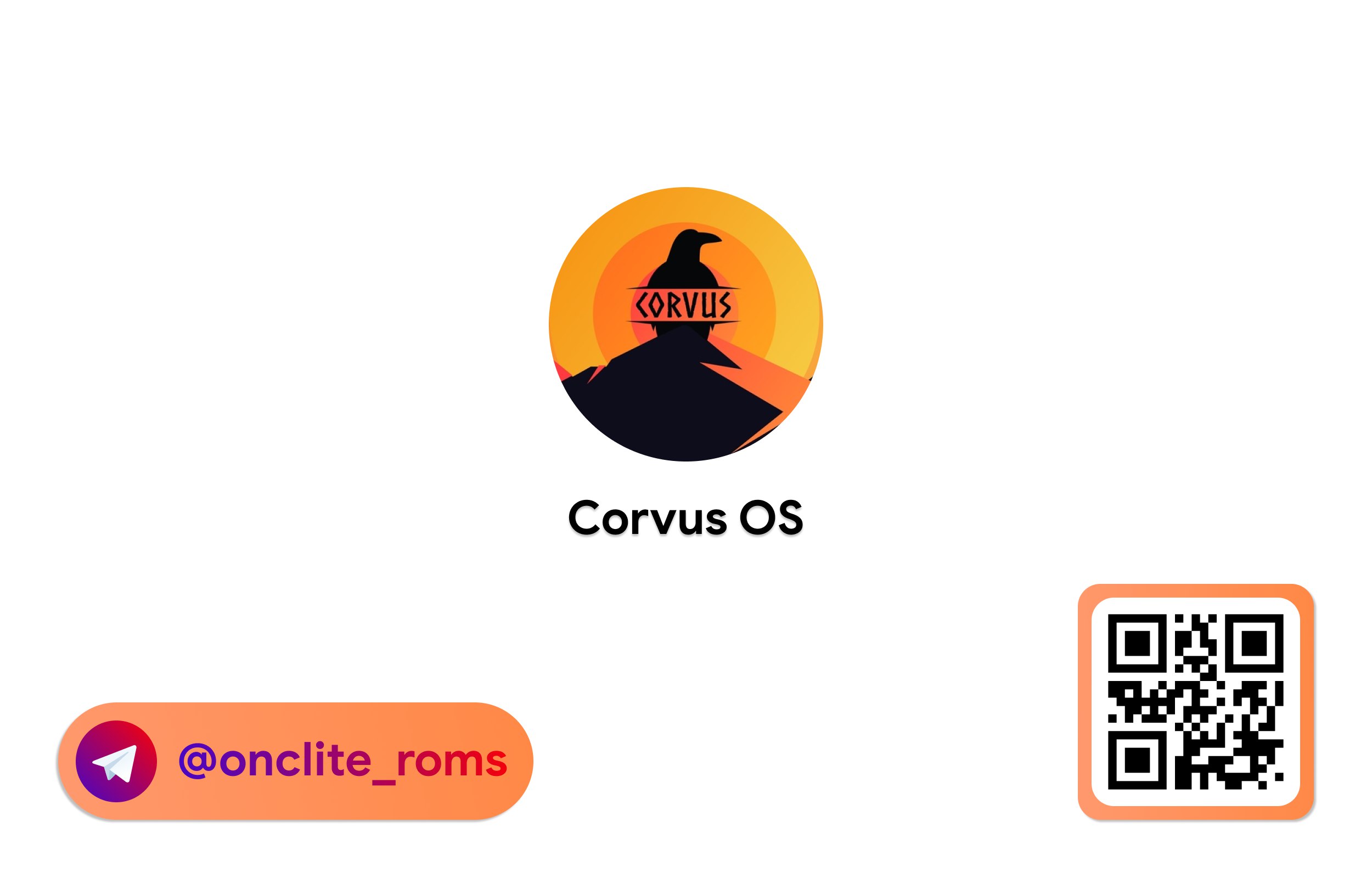 Corvus os